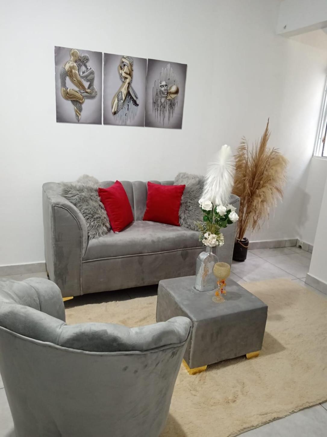 Apartamentos De 1 2 Y 3 Habitaciones Santiago De Los Caballeros Luaran gambar